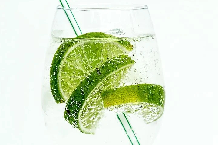 lime-907124__480.webp.jpg